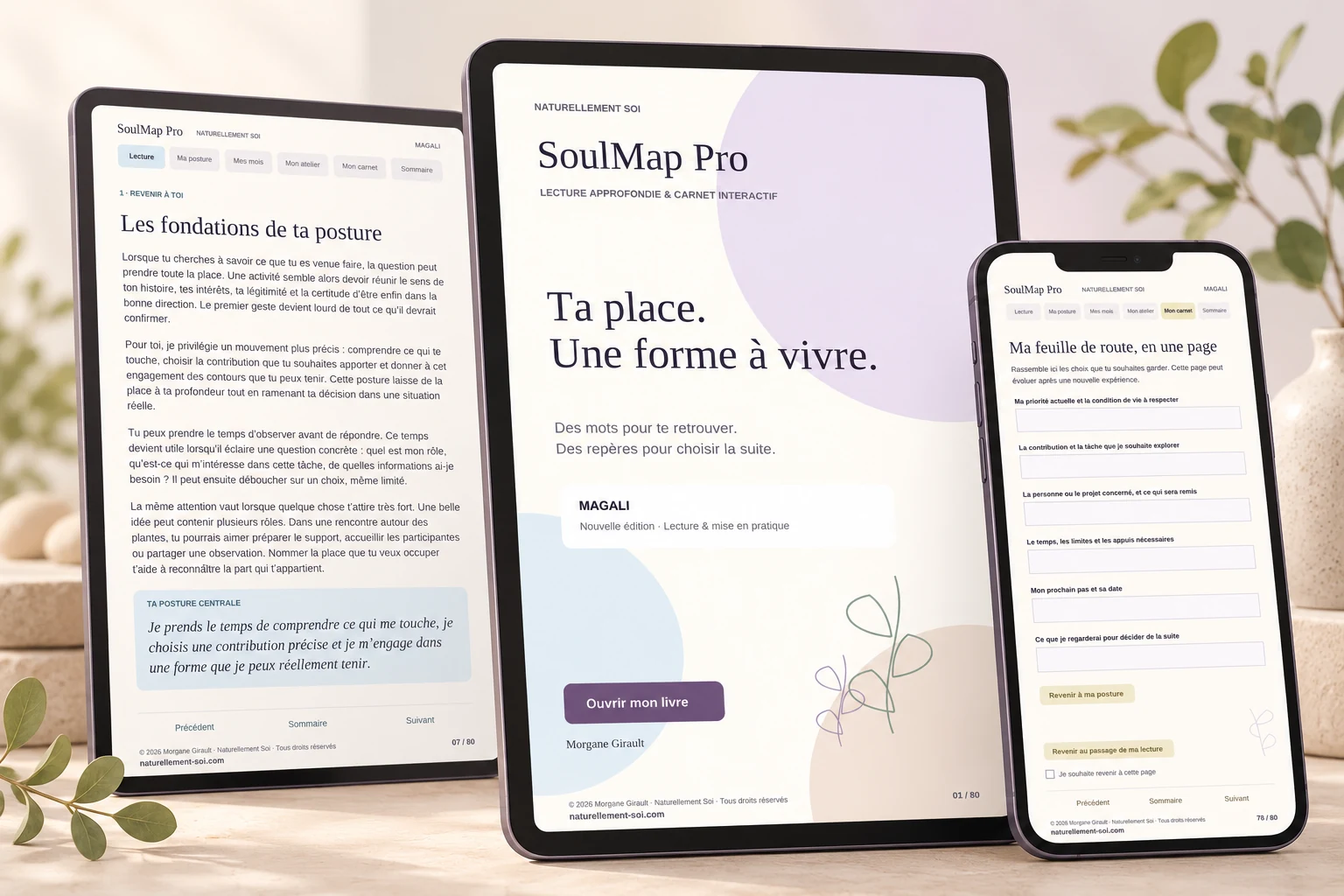 Exemple de SoulMap Professionnelle : partie rédigée et carnet interactif sur tablette et téléphone